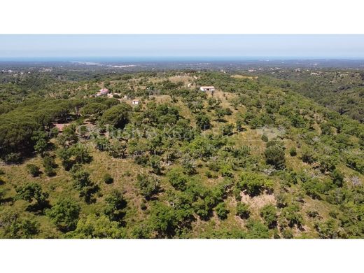 Terreno a Grândola, Distrito de Setúbal