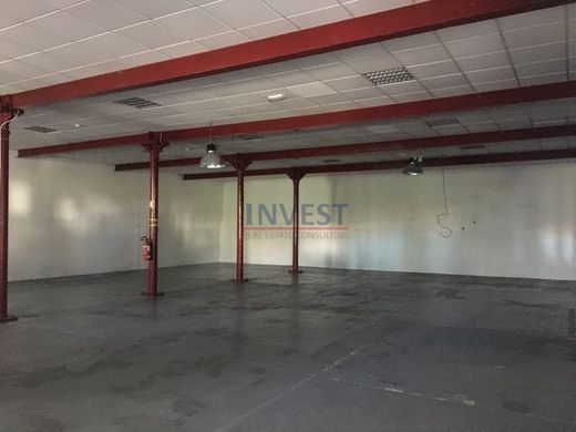 Ofis Porto, Distrito do Porto