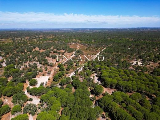 农场  Santiago do Cacém, Distrito de Setúbal