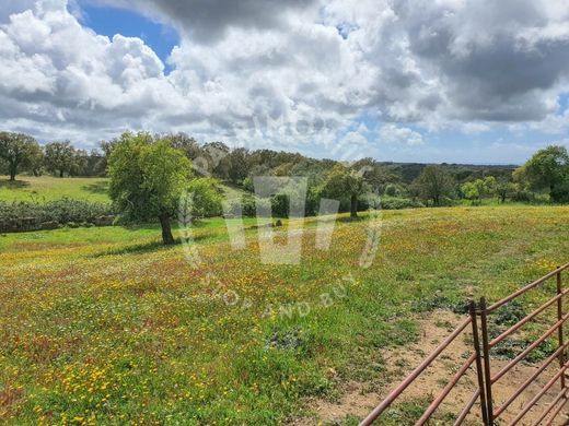 Luxury home in Santiago do Cacém, Distrito de Setúbal