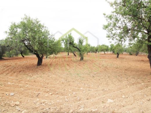 Αγροτεμάχιο σε Faro, Distrito de Faro