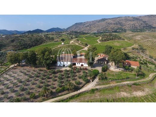 Fazenda - Torre de Moncorvo, Bragança