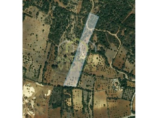 Αγροτεμάχιο σε São Brás de Alportel, Distrito de Faro