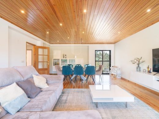 호화 저택 / Coimbra, Distrito de Coimbra