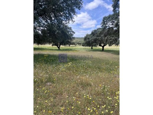 Rural ou fazenda - Madroñera, Provincia de Cáceres