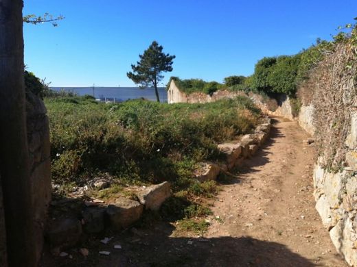 토지 / Vila do Conde, Distrito do Porto