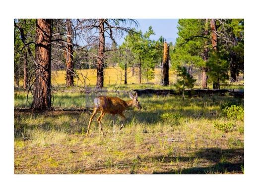‏בתי יוקרה ב  Moraleja, Provincia de Cáceres