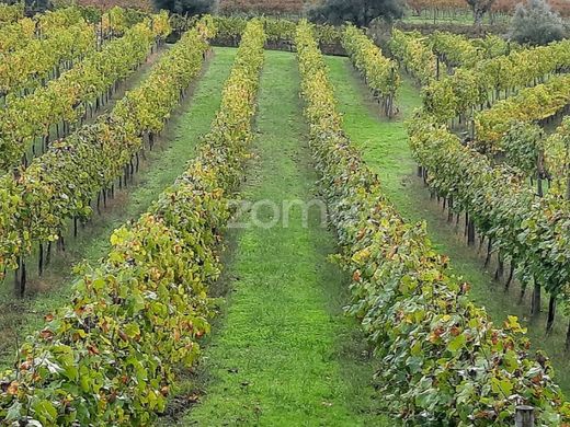 Luksusowy dom w Baião, Distrito do Porto