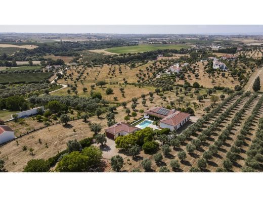 Luxe woning in Santarém, Distrito de Santarém