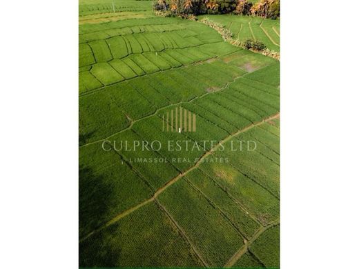 地皮  Paramýtha, Limassol District