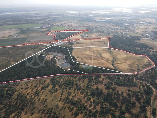 أرض ﻓﻲ Benavente, Distrito de Santarém