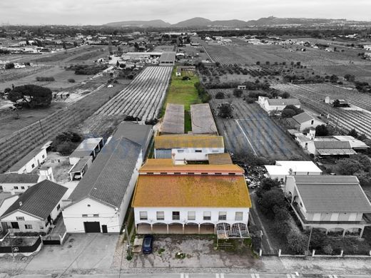 Luxury home in Palmela, Distrito de Setúbal