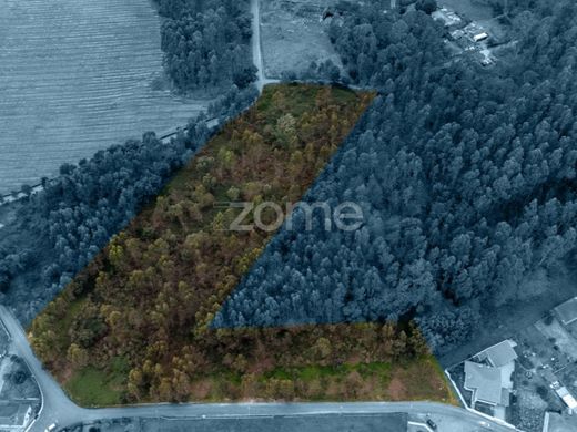 Terrain à Santo Tirso, Distrito do Porto