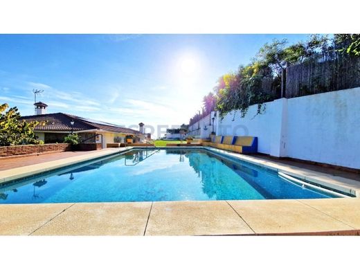 Villa in Alhaurín de la Torre, Malaga