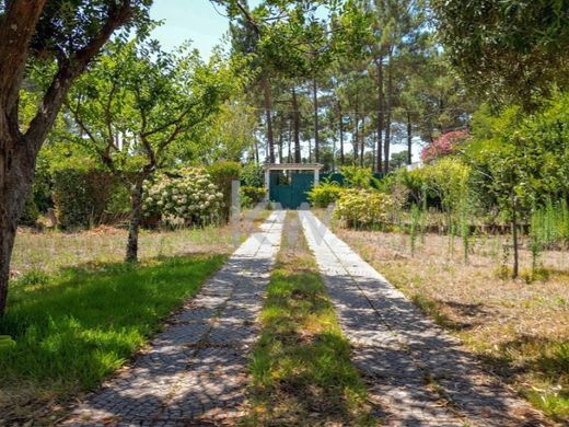 ‏קרקע ב  Seixal, Distrito de Setúbal