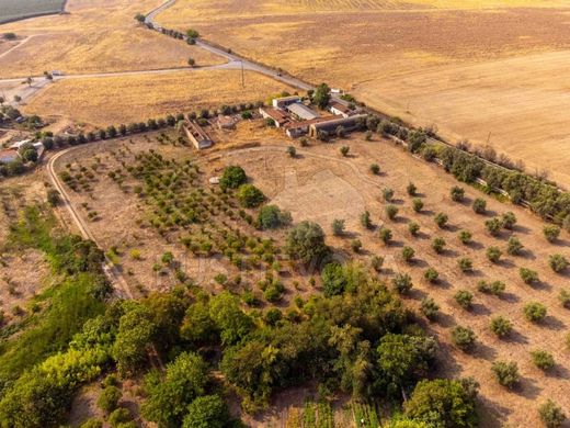 Terreno en Beja