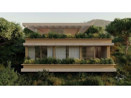 호화 저택 / Silves, Distrito de Faro