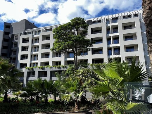 Apartment in Funchal, Madeira