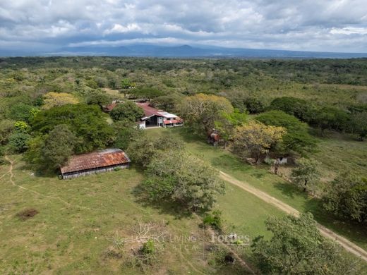 전원/농가 / Liberia, Provincia de Guanacaste