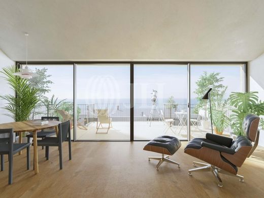 Daire Porto, Distrito do Porto