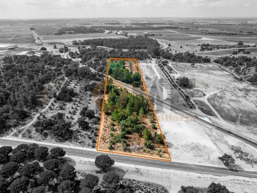 Terreno a Almeirim, Santarém