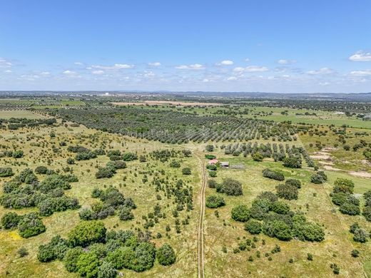 Reguengos de Monsaraz, Distrito de Évoraの土地