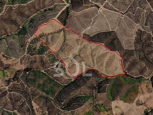 Arsa Odemira, Distrito de Beja