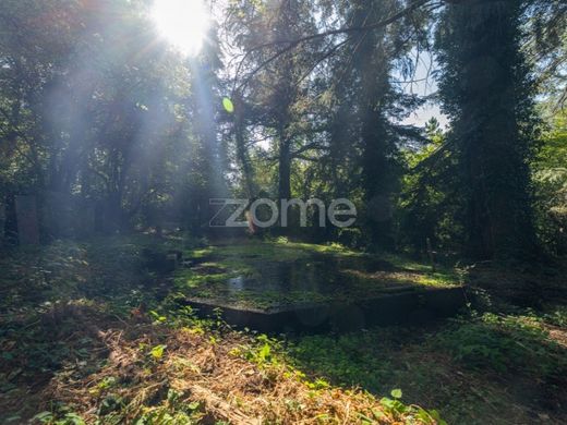 Mansão / Palacete - Castro Daire, Viseu