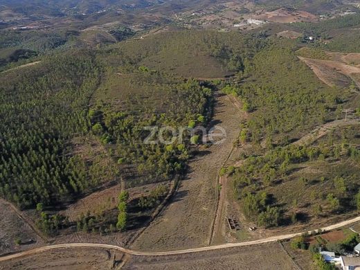 Arsa Portimão, Distrito de Faro