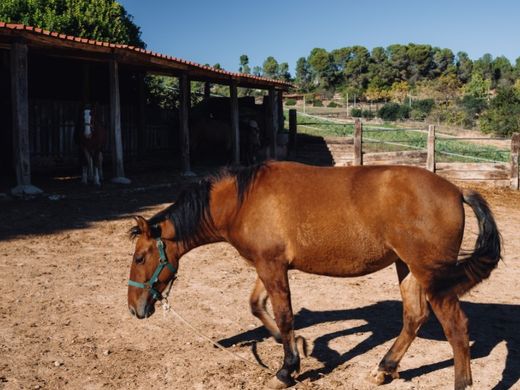 Villa in Rubí, Province of Barcelona