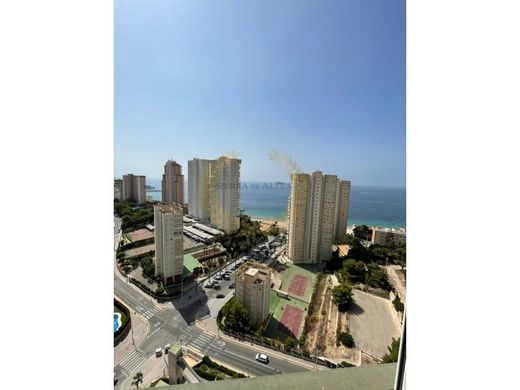 Apartamento - Benidorm, Provincia de Alicante