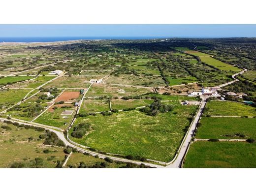Farm in Ciutadella, Province of Balearic Islands