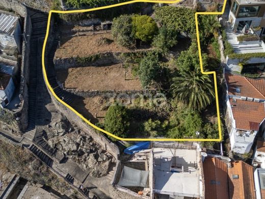 토지 / 포르투, Porto