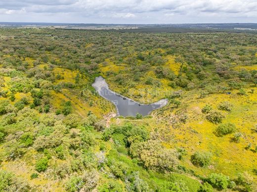 Fattoria a Alcácer do Sal, Distrito de Setúbal