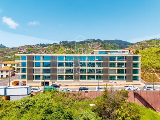 Câmara de Lobos, Madeiraのアパートメント