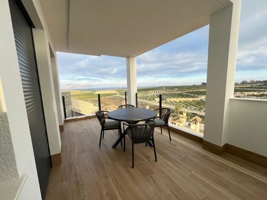 Villa in Algorfa, Alicante