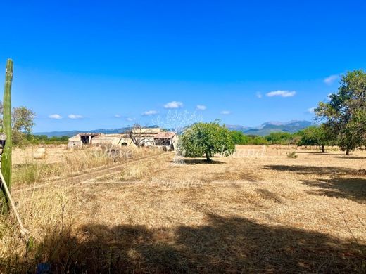 Land in Binissalem, Province of Balearic Islands