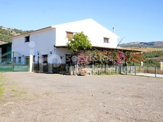전원/농가 / Periana, Provincia de Málaga