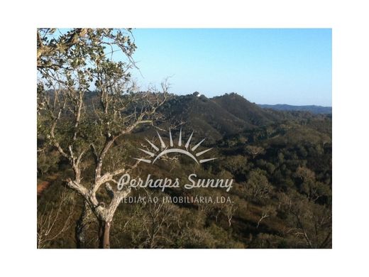 Odemira, Distrito de Bejaの農園