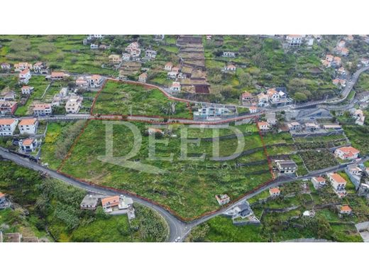 Αγροτεμάχιο σε Ριβέιρα Μπράβα, Ribeira Brava