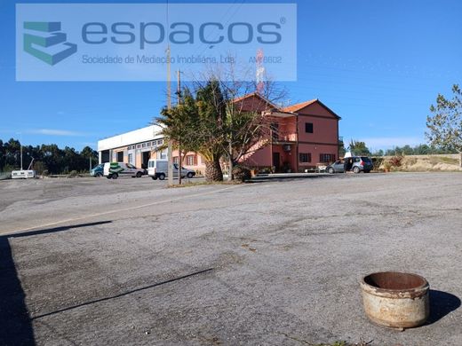 Casa de lujo en Castelo Branco