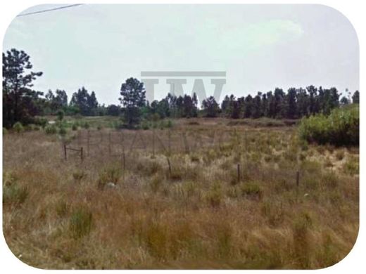 Участок, Монтихо, Montijo