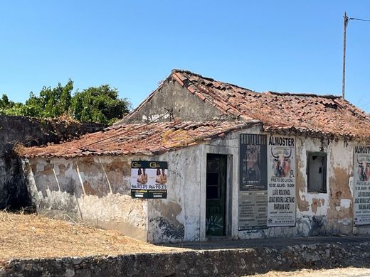 Land in Santarém, Distrito de Santarém