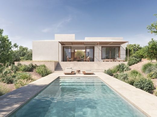 Lagoa, Distrito de Faroの土地