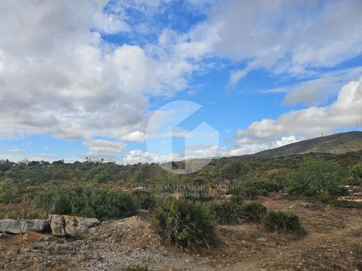 Olhão, Distrito de Faroの土地