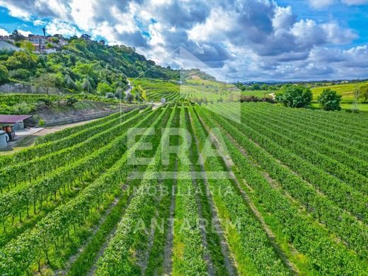 Arsa Santarém, Distrito de Santarém