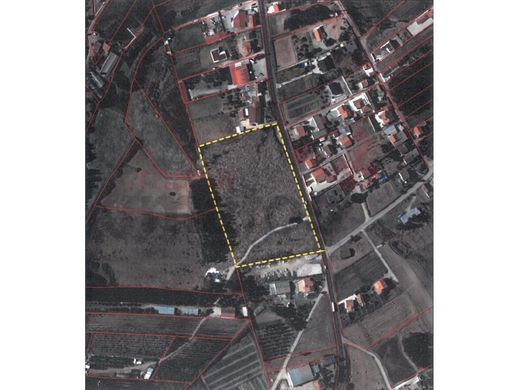 Αγροτεμάχιο σε Torres Vedras, Distrito de Lisboa