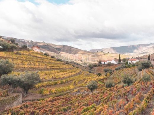 Πολυτελή κατοικία σε São João da Pesqueira, Distrito de Viseu