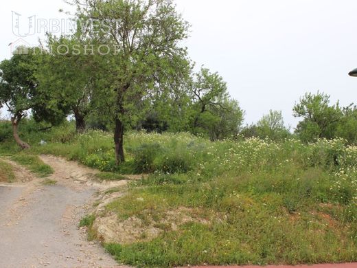 Αγροτεμάχιο σε Loulé, Distrito de Faro