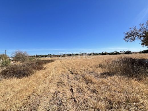 Αγροτεμάχιο σε Silves, Distrito de Faro